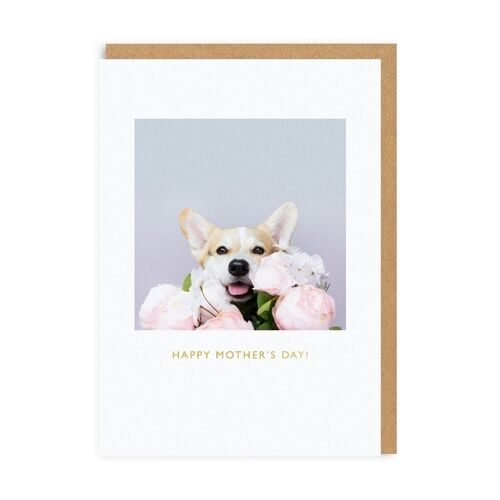 Mother's Day Corgi