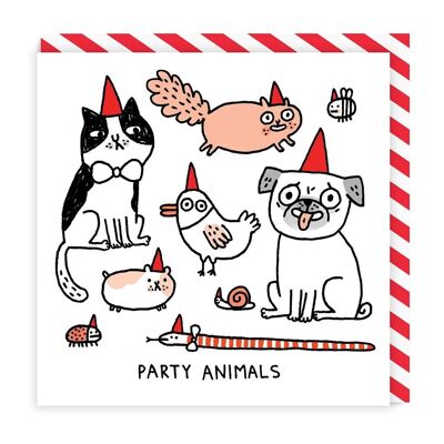 Tarjeta de felicitación cuadrada con animales de fiesta (933)