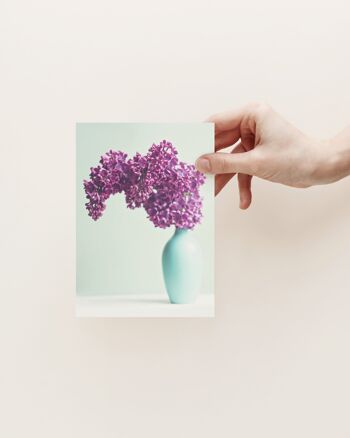 Carte postale lilas 2