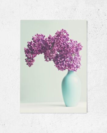 Carte postale lilas 1