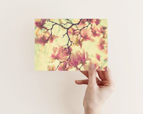 Postkarte Magnolien