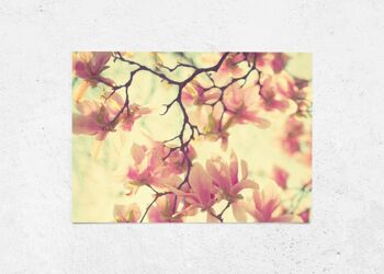 Magnolias de cartes postales 3