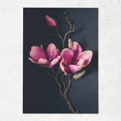 Postcard magnolia
