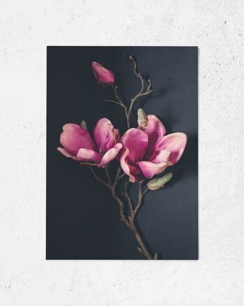Carte postale magnolia 1