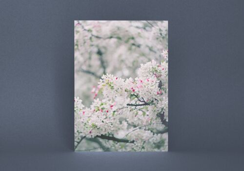 Postkarte Frühlingsblüte
