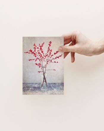 Cartes Postales Fruits Rouges 3