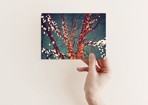 Postkarte Lichterbaum