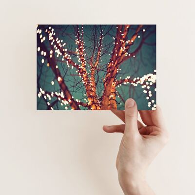 Postcard light tree