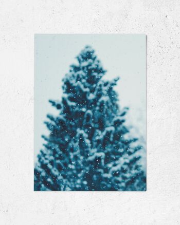 Carte postale sapin dans la neige 3