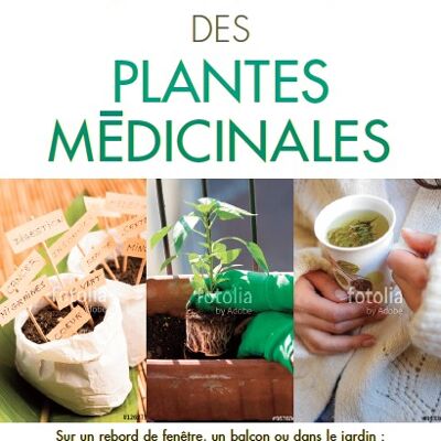 Le grand livre des plantes médicinales