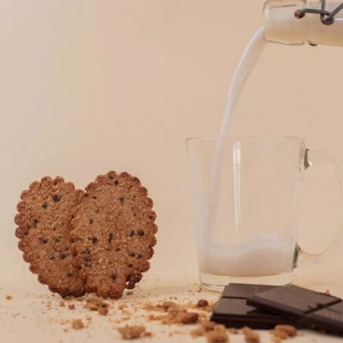 Biscuit petit-déjeuner chocolaté BIO en VRAC 3x1kg