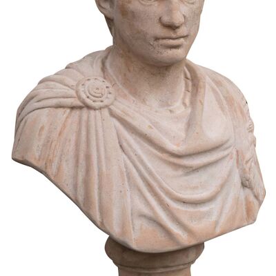 Busto Di Giulio Cesare Invecchiato In Terracotta Toscana 100