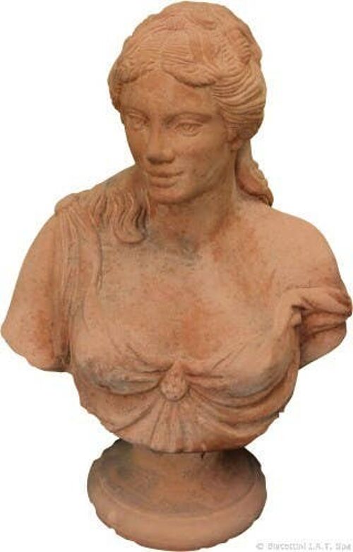 Busto Di Pompea Invecchiato In Terracotta Toscana 100% Made