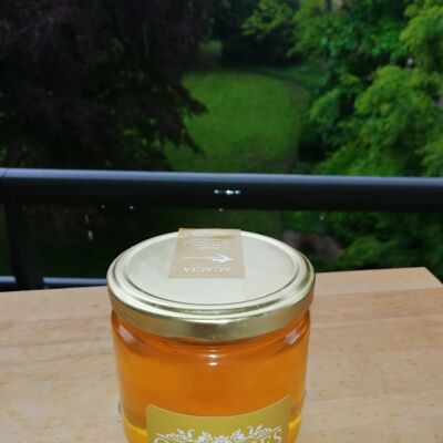 Miel de Acacia 500g
