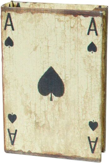 Conteneur pour cartes à jouer Ace Spades 2