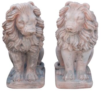 Paire De Lions Vieillis, En Terre Cuite De Toscane T0544 1