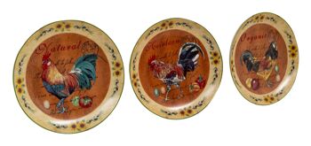 Set Trois Assiettes Murales Décoratives en Céramique Decor C1358 1