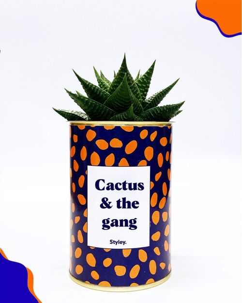 Cactus - Cactus & the gang