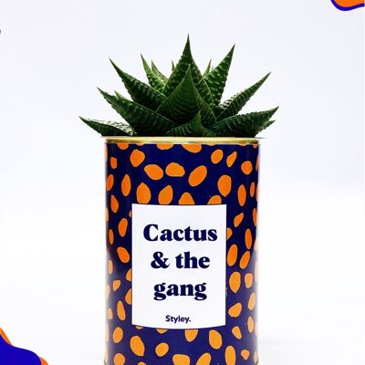 Cactus - Cactus y la pandilla