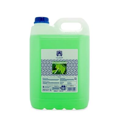 Shampoo alla clorofilla - 5000 ml