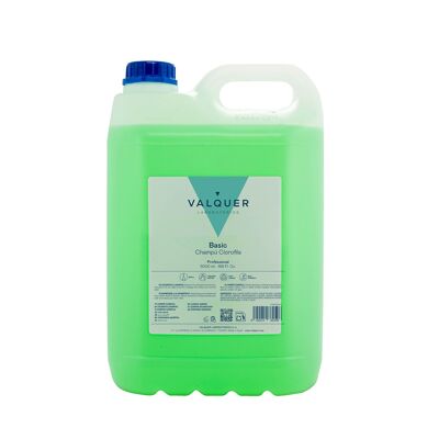 Shampooing Chlorophylle - 5000 ml