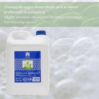 Shampooing Mojito sans sel - 5000 ml 2
