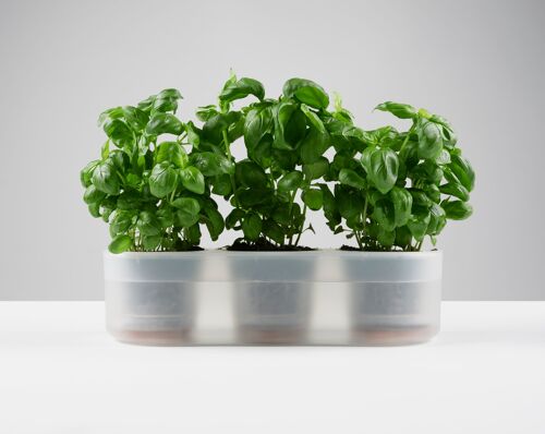 Till Planter, 10.5cm Triple - self-watering planter