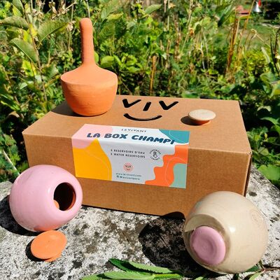 Caja Champi Cono Flor