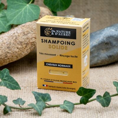 Shampoing solide : CHEVEUX NORMAUX