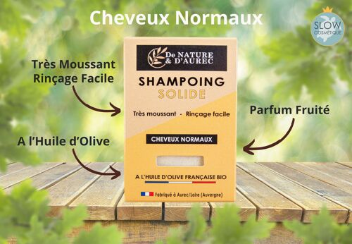 Shampoing solide : CHEVEUX NORMAUX