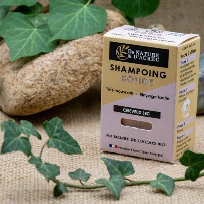 Shampoing solide : CHEVEUX SEC