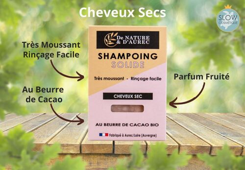 Shampoing solide : CHEVEUX SEC