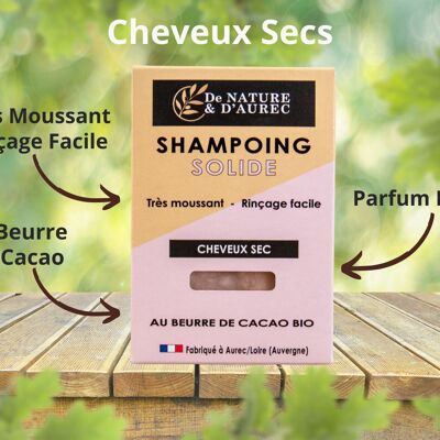 Shampoing solide : CHEVEUX SEC