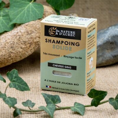 Shampoing solide : CHEVEUX GRAS