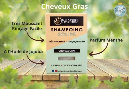 Shampoing solide : CHEVEUX GRAS