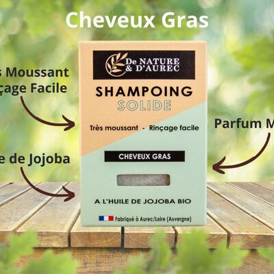 Shampoing solide : CHEVEUX GRAS