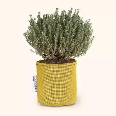 Bolsa de plantación en tri-textil transpirable Ø12cm - Amarillo