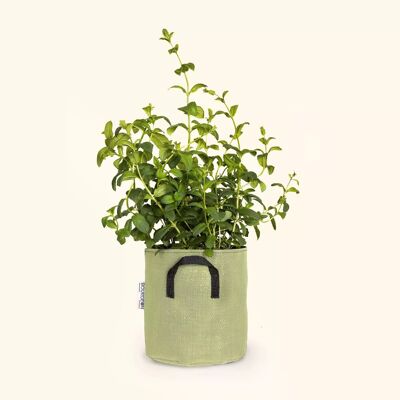 Planting bag in breathable tri-textile Ø20cm - Green