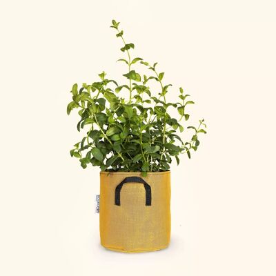 Breathable tri-textile planting bag Ø20cm - Yellow