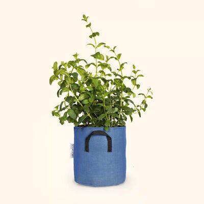 Planting bag in breathable tri-textile Ø20cm - Blue