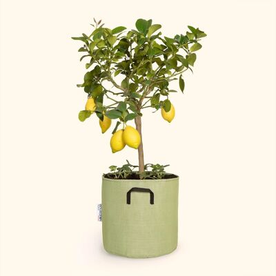 Planting bag in breathable tri-textile Ø30cm - Green