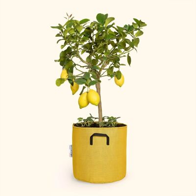 Bolsa de plantación en tri-textil transpirable Ø30cm - Amarillo