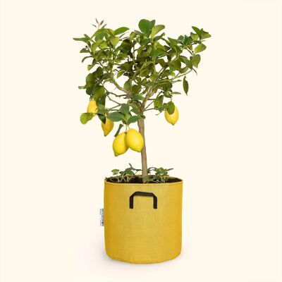 Planting bag in breathable tri-textile Ø30cm - Yellow