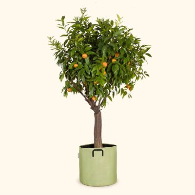 Planting bag in breathable tri-textile Ø40cm - Green