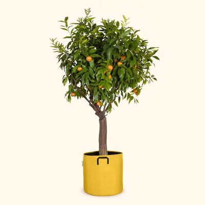 Planting bag in breathable tri-textile Ø40cm - Yellow