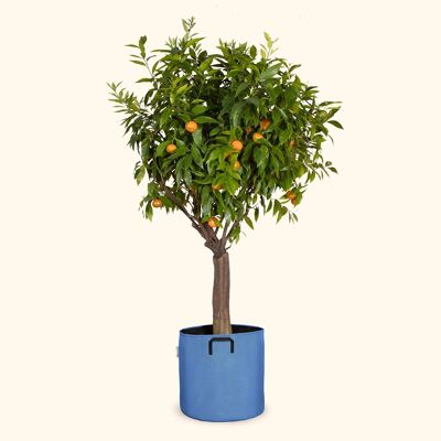 Planting bag in breathable tri-textile Ø40cm - Blue
