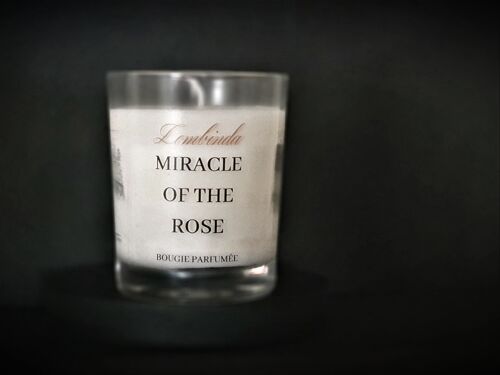 BOUGIE MIRACLE OF THE ROSE