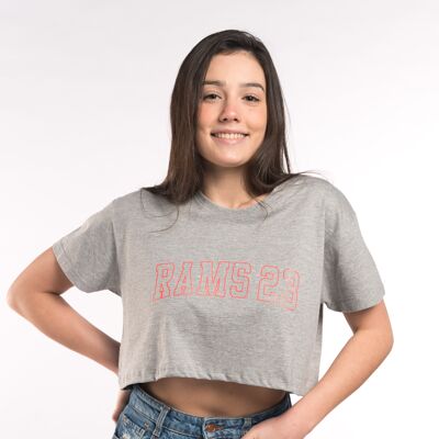Rams 23 Silhouette T-Shirt-Grau