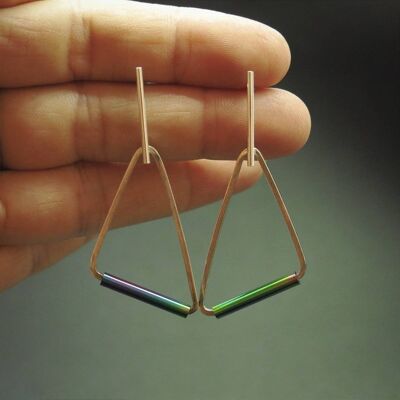 Silver and stainless steel earrings GINOX V Rainbow