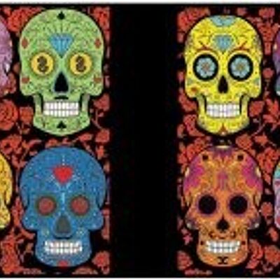 Mexican skulls, ring binder